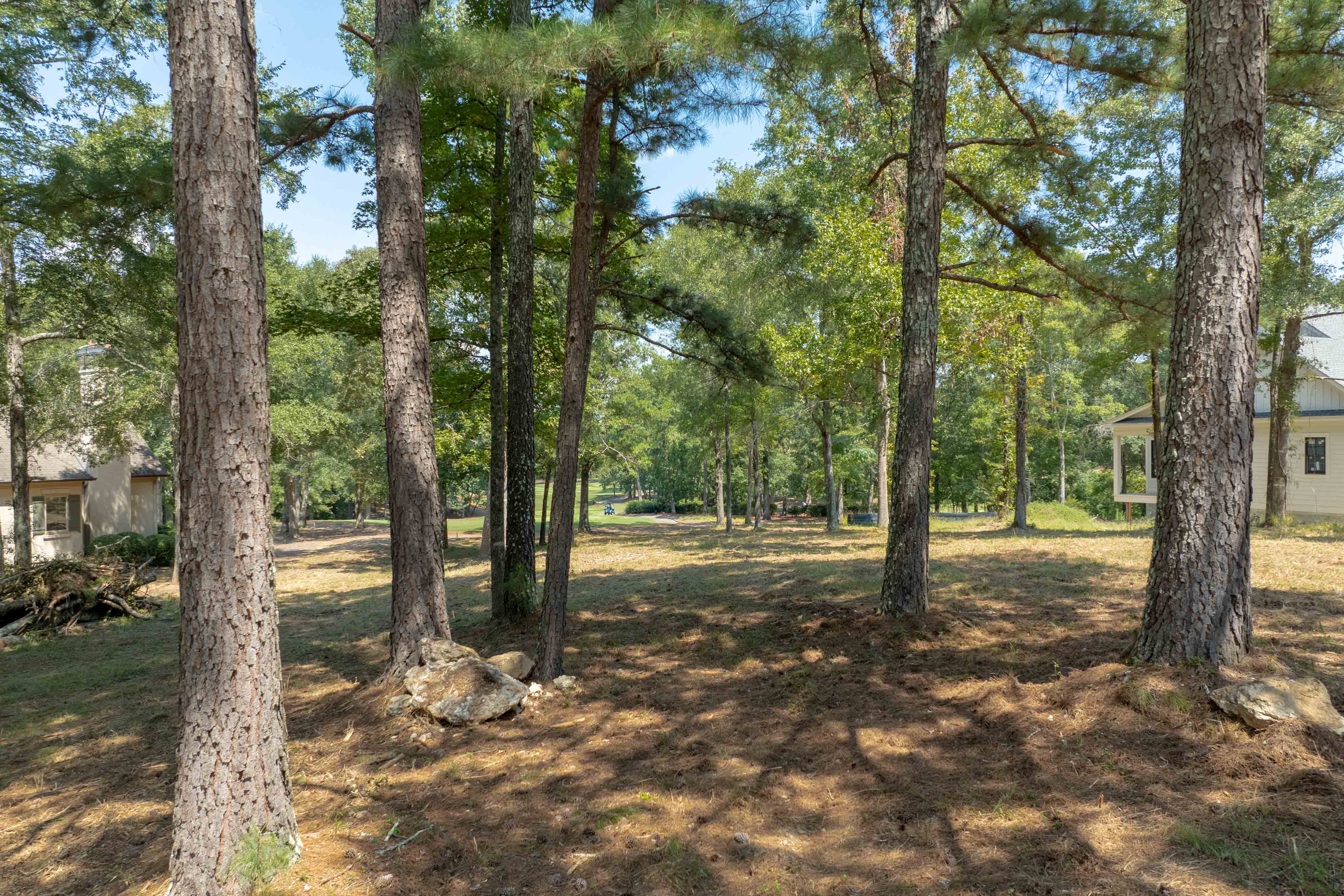 161 Broadlands Drive image 9